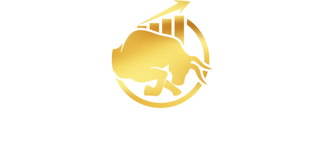 Trademax-capital Logo